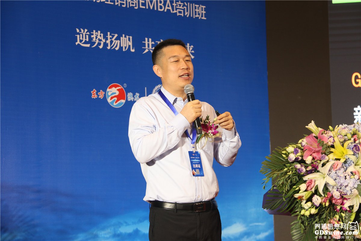 冲浪赛场再起风云：岭东风暴队小胜岭南烈马队，脚步移动更到位争冠格局再洗牌(让我们一起冲浪吧计时赛)